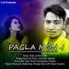 About Tula Lomba Sulw (Pagla Mon 1) Song
